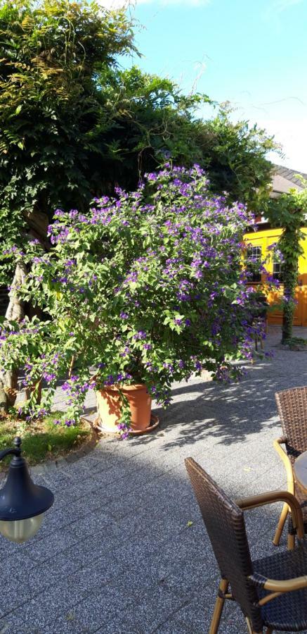Hôtel Wein & Gastehaus Hermeshof à Trittenheim Extérieur photo